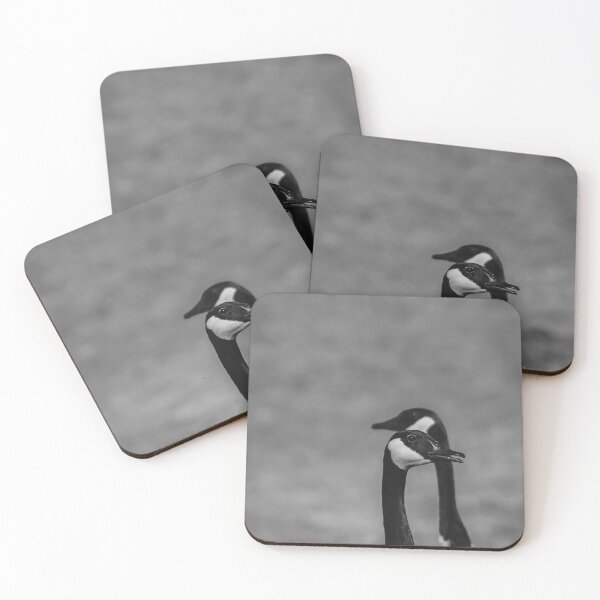 Item preview, Canadian Geese designed and sold by SadeesPhotos.