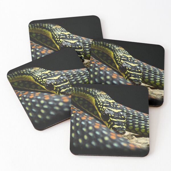 Item preview, Paradise Flying Snake Portrait Print designed and sold by Creatures of Nightshade.