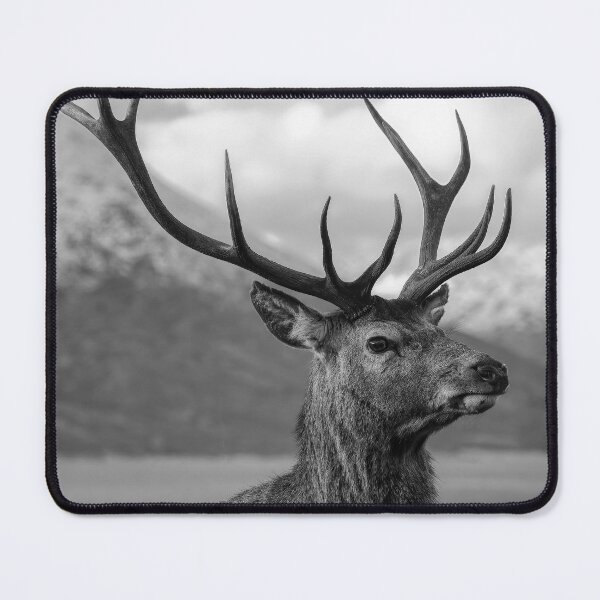 Item preview, Red Deer Stag with Good Set of Antlers designed and sold by derekbeattie.
