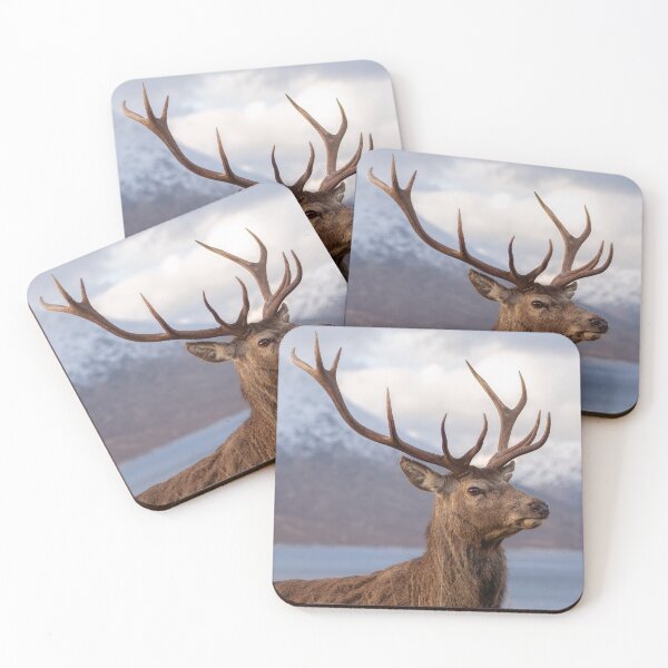 Item preview, Red Deer Stag in Scotland designed and sold by derekbeattie.