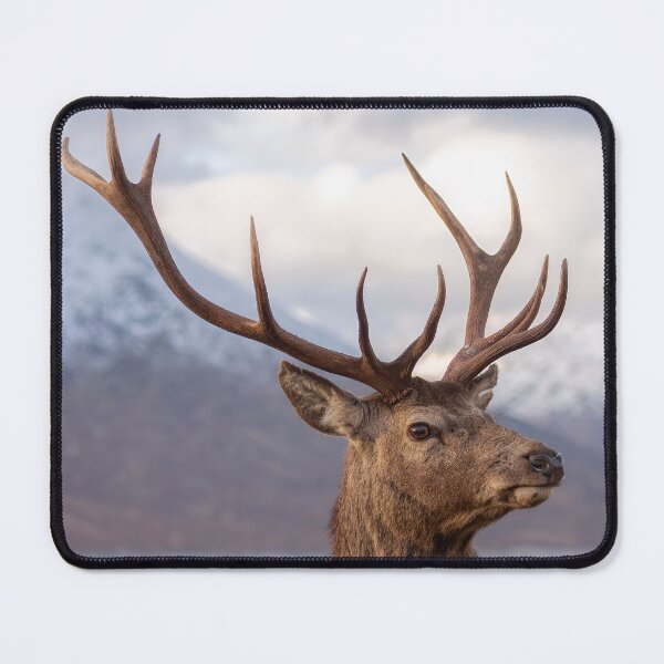 Item preview, Red Deer Stag in Scotland designed and sold by derekbeattie.