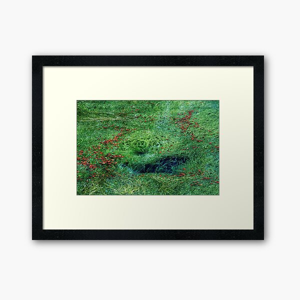 Autumn arrival Framed Art Print