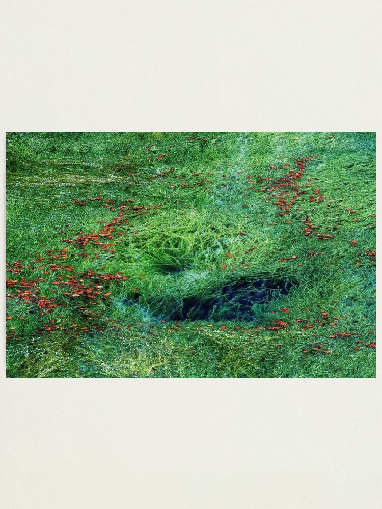 Alternate view of Autumn arrival Photographic Print