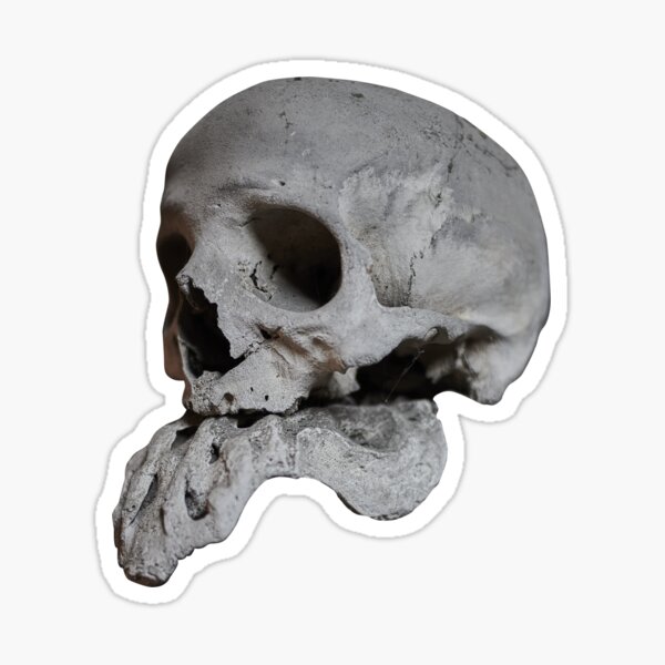 Sedlec Ossuary Skulls Photo Art, Human Bone Church Mystery Skulls Art, Halloween Skull Sticker