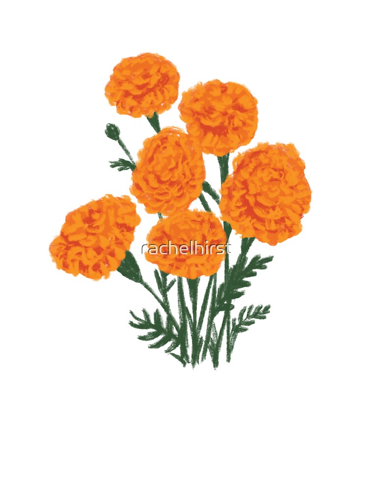 Marigold Flower Vector: Over 11,954 Royalty-Free Licensable Stock  Illustrations & Drawings | Shutterstock