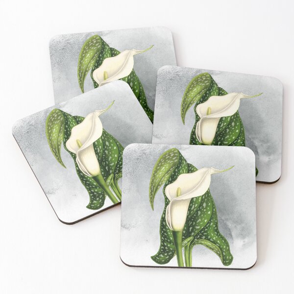 Item preview, Arum Lily | White Calla Lilies designed and sold by DeevaValli.