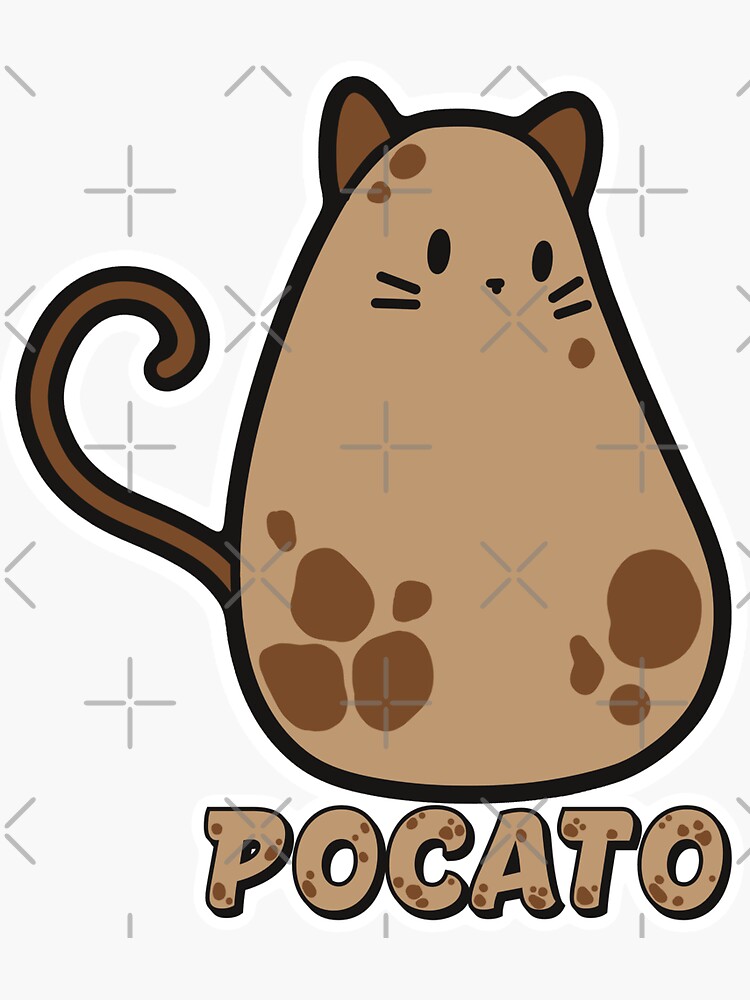 The potato cheap cat