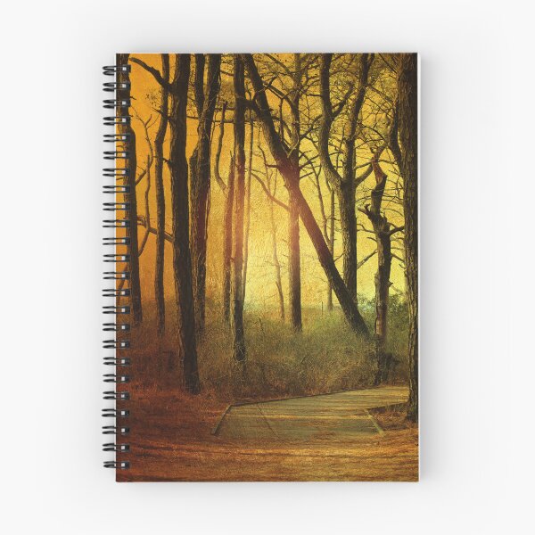 Item preview, Forest Light designed and sold by Linda Sannuti.