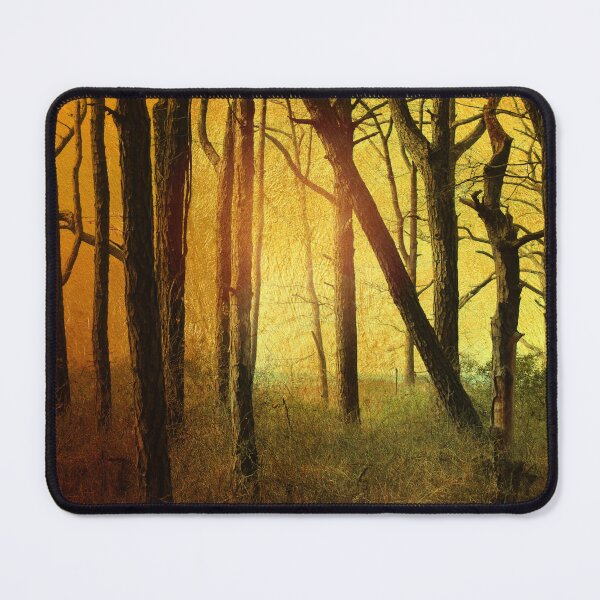 Item preview, Forest Light designed and sold by Linda Sannuti.