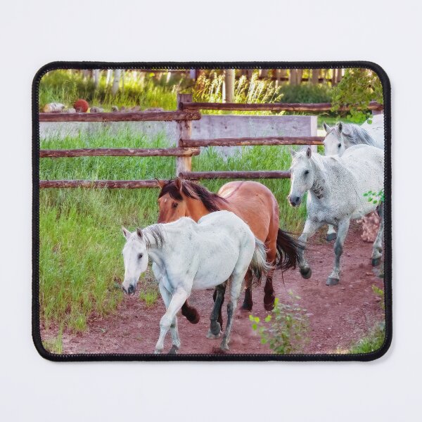 Item preview, Out to Pasture designed and sold by Kay Brewer.