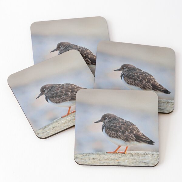 Item preview, Turnstone at Lyme Regis designed and sold by Dorset Girl.