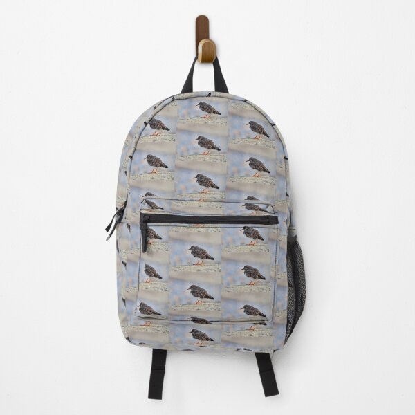 Item preview, Turnstone at Lyme Regis designed and sold by Dorset Girl.