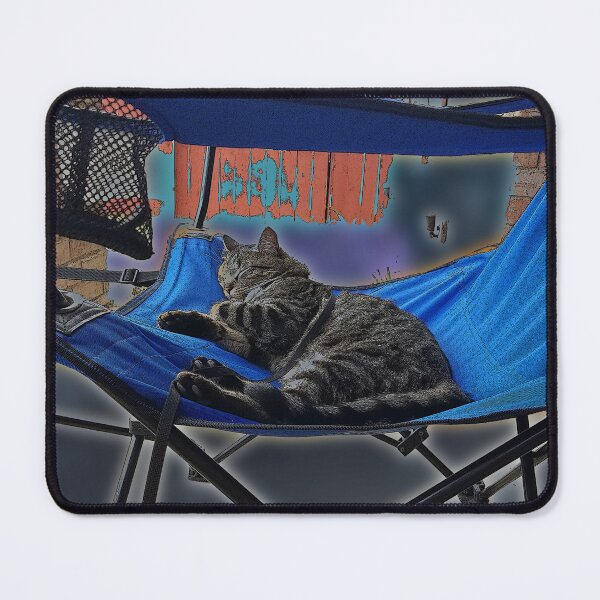 Chillin Mouse Pad
