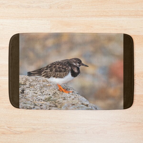 Item preview, Turnstone at Lyme Regis designed and sold by Dorset Girl.