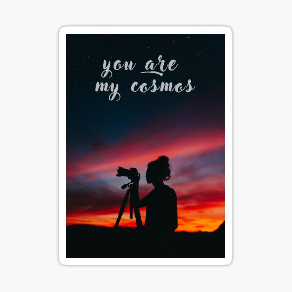 "You are my cosmos" Sticker by klim23 | Redbubble