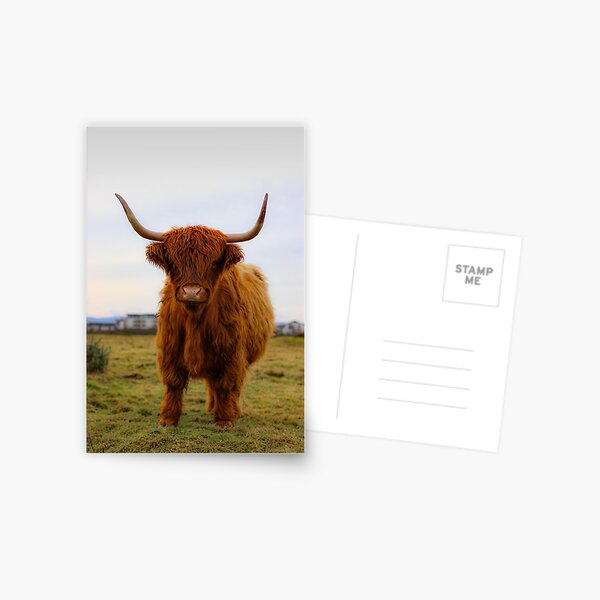 Item preview, irish bull designed and sold by Super-Renata.