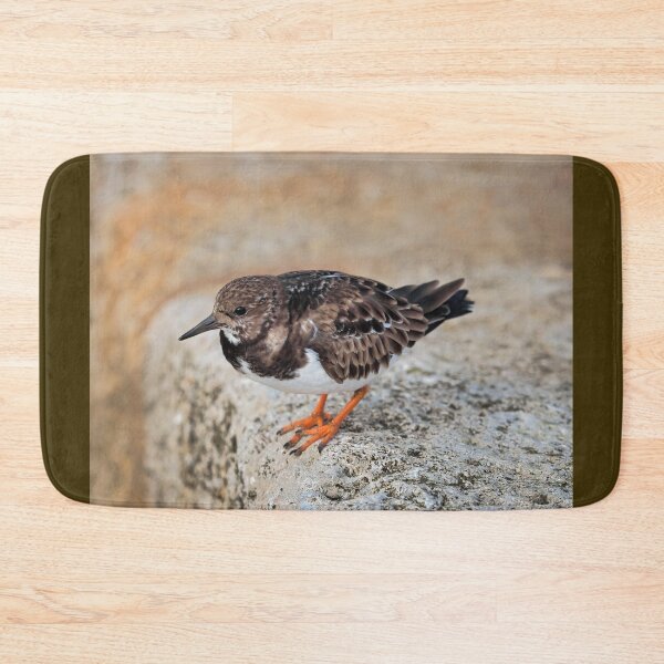 Item preview, Turnstone at Lyme Regis designed and sold by Dorset Girl.