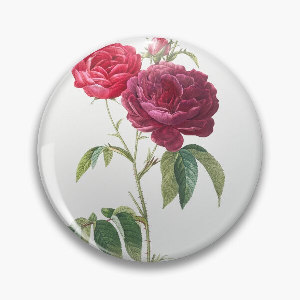 Item preview, Purple French Rose, Rosa gallica purpuro-violacea magna from Les Roses (1817–1824) by Pierre-Joseph Redouté. designed and sold by IslandArt.