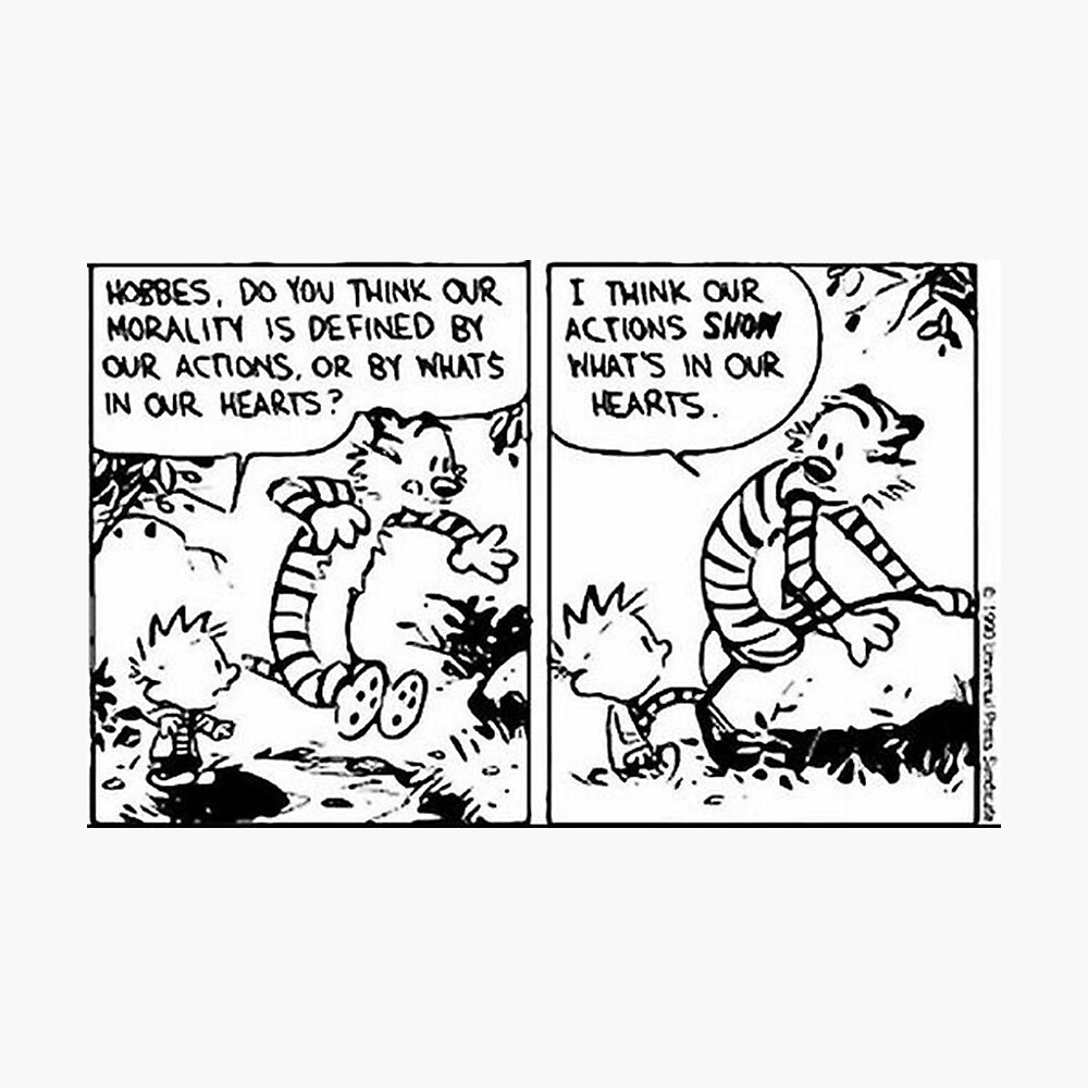 Calvin and Hobbes Life Comic