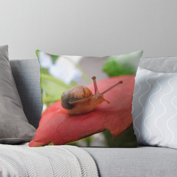Item preview, Hi Snail! designed and sold by sammiejayjay.