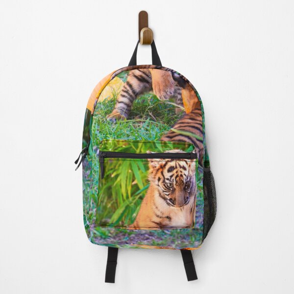 Item preview, Tiger cubs wrestle over a pumpkin designed and sold by noblephoto.