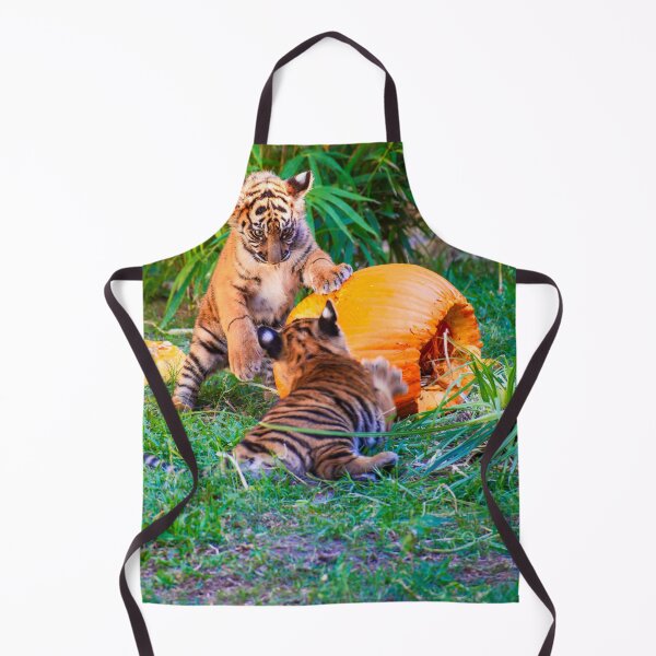 Item preview, Tiger cubs wrestle over a pumpkin designed and sold by noblephoto.