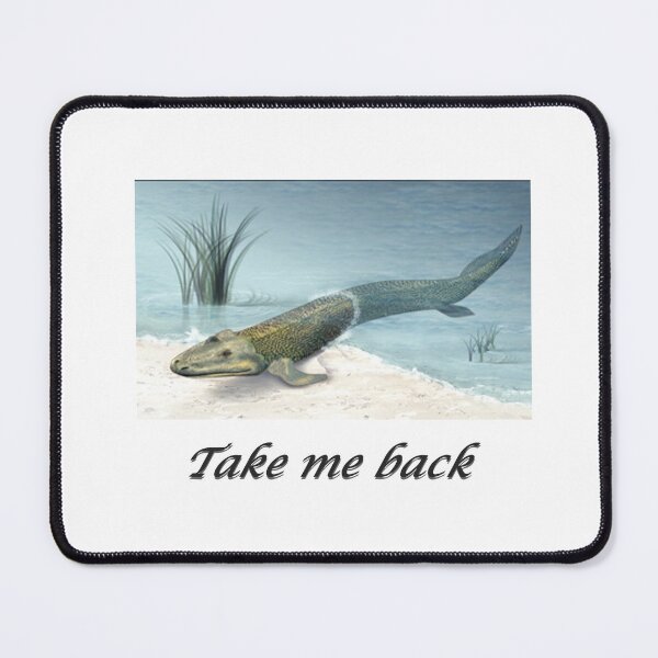 Item preview, Take me back designed and sold by Planktem.