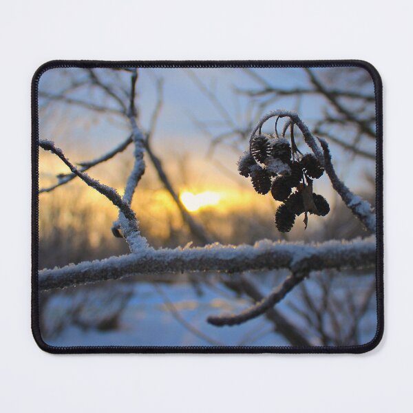 Item preview, Winter Pinecones designed and sold by jenstever.