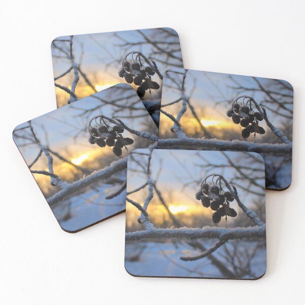 Item preview, Winter Pinecones designed and sold by jenstever.