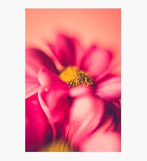 Flower Power (hot pink) Photographic Print