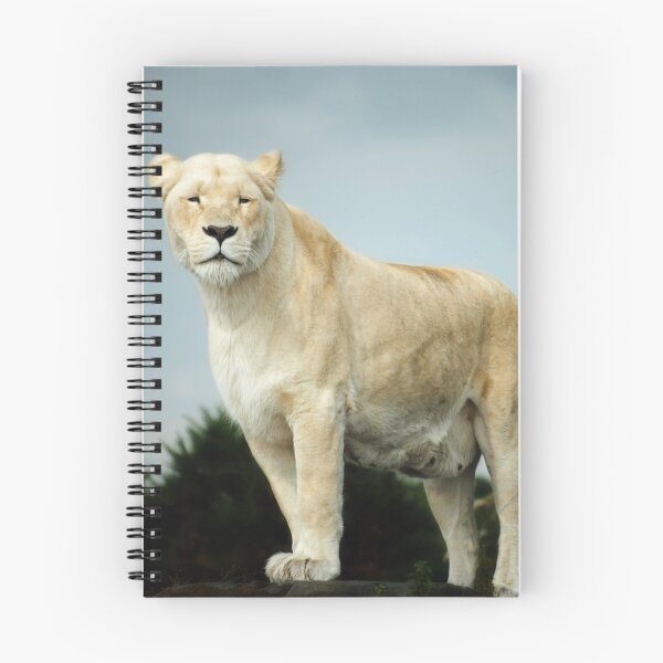 Item preview, White Lion at West Midlands Safari Park designed and sold by Lissywitch.