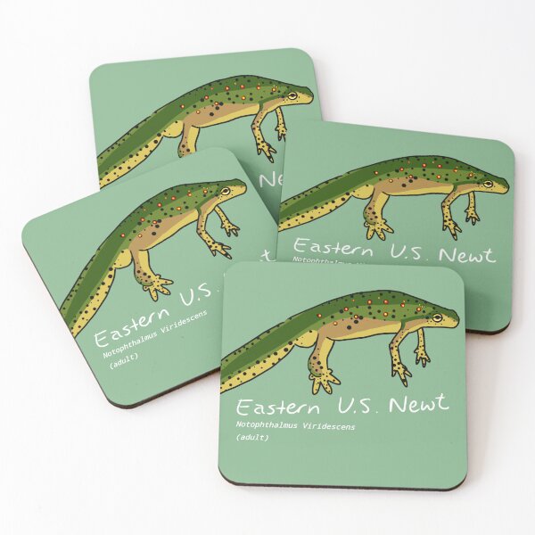 Item preview, Classic Eastern Newt designed and sold by M.Greenlund  Content.