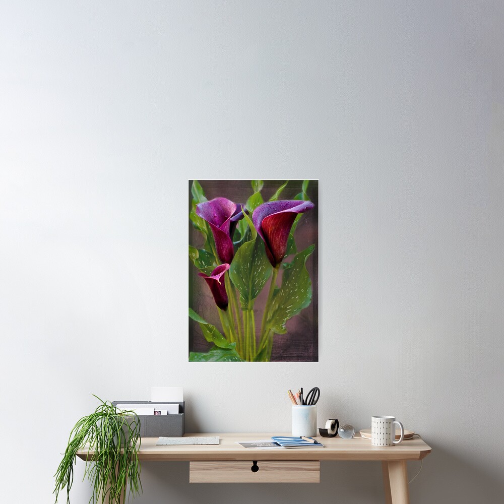 Item preview, Poster designed and sold by Lissywitch.