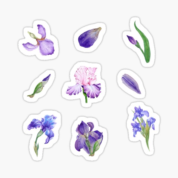 Autocollants Fenêtre Fleur de Jardin Iris Anti-Collision Stickers