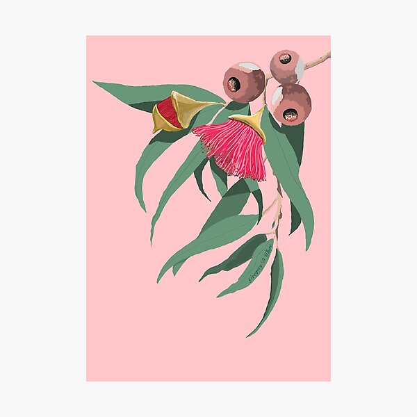 Item preview, Gumnut pastel pink designed and sold by PGLIFESTYLE.