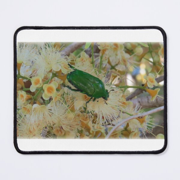 Item preview, Christmas Beetle designed and sold by Genevieve Hanlon Art and Photography.