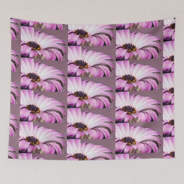 Item preview, It's that Osteospermum again! designed and sold by Lissywitch.