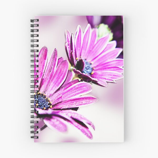 Item preview, Osteospermum Sabrina designed and sold by Lissywitch.