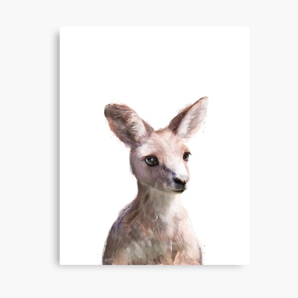 Little Kangaroo Canvas Print