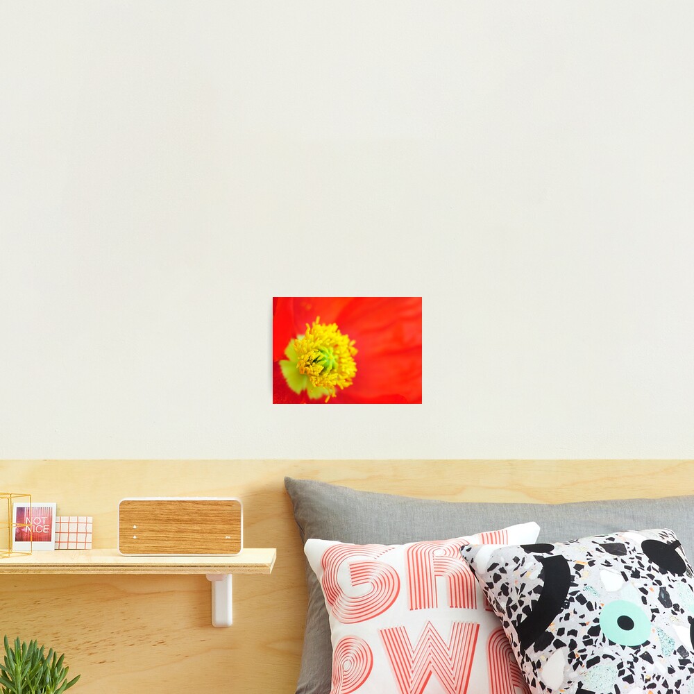 Item preview, Photographic Print designed and sold by Lissywitch.