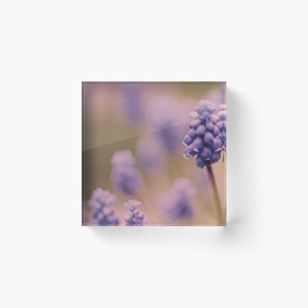Item preview, Wistful designed and sold by Lissywitch.