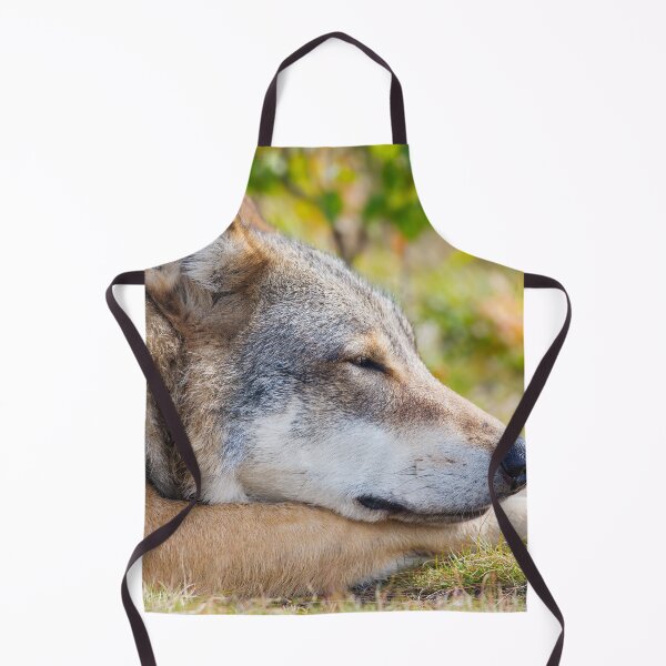 Item preview, Beautiful coyote wallpaper designed and sold by AnimalLover4eva.