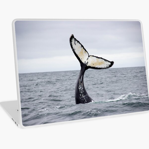 Waving Whale's Tail Laptop Skin