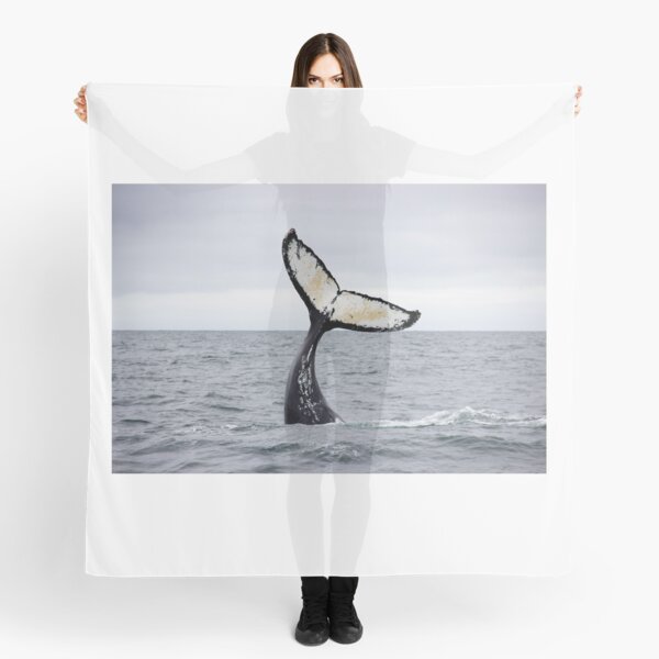 Waving Whale's Tail Scarf