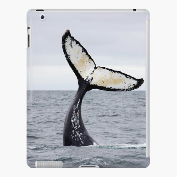Waving Whale's Tail iPad Snap Case