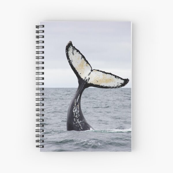 Waving Whale's Tail Spiral Notebook