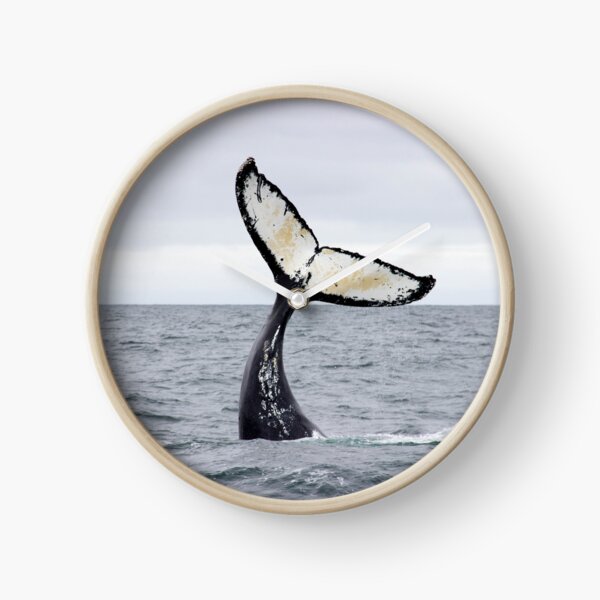 Waving Whale's Tail Clock