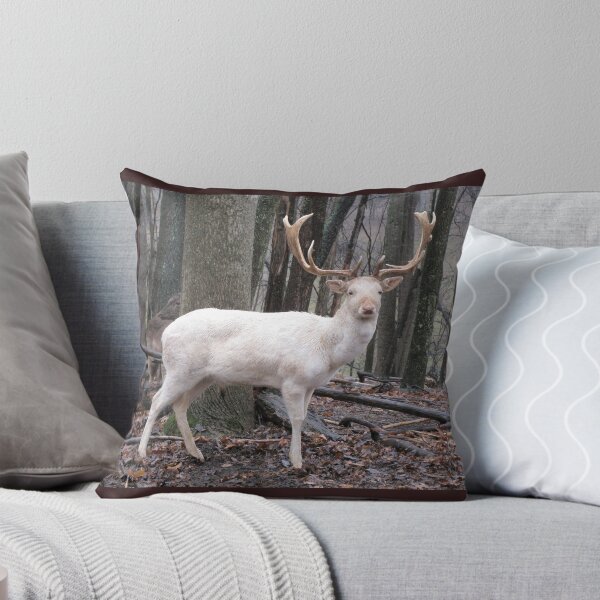 Item preview, White Fallow Deer (Leucistic) designed and sold by Ginny York.