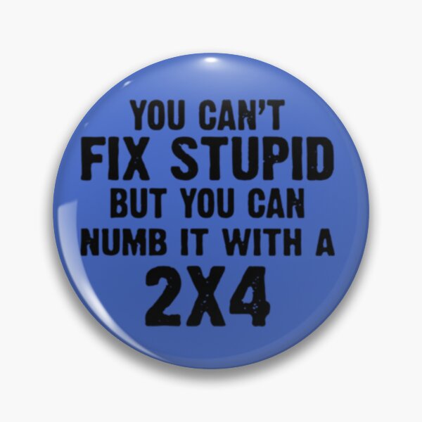 Item preview, You Can't Fix Stupid But You Can Numb It With a 2x4 designed and sold by gameshowfan2001.