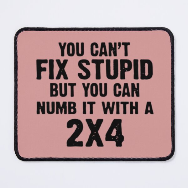 Item preview, You Can't Fix Stupid But You Can Numb It With a 2x4 designed and sold by gameshowfan2001.